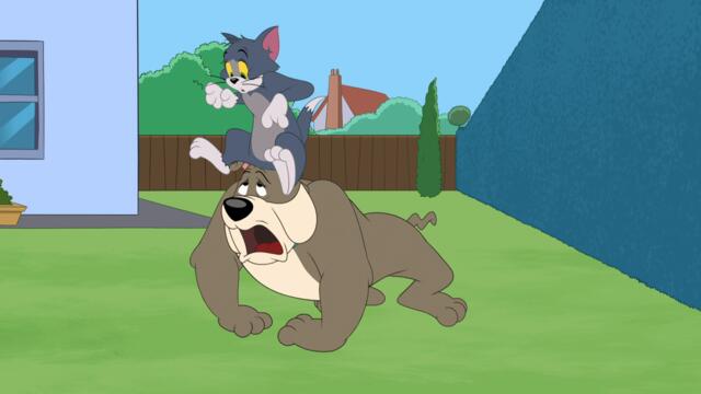 Шоуто на Том и Джери - Сезон 5 Епизод 23 (Топ куче) (БГ Аудио) / Tom and Jerry Show - S5E23 (BG Audio)