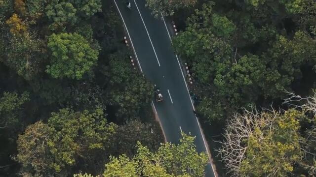 BOJAN TOMOVIĆ - GOSPODINE MOŠTROKOL (OFFICIAL VIDEO 2025)