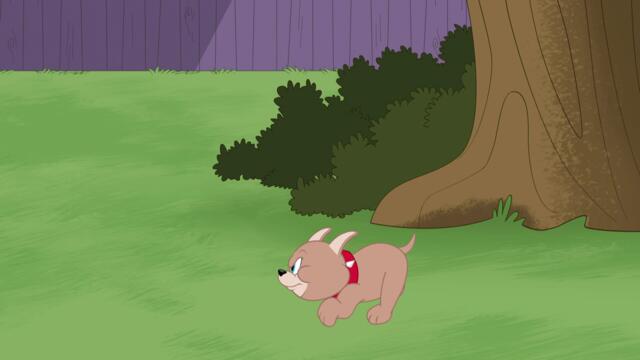 Шоуто на Том и Джери - Сезон 5 Епизод 37 (Невидимият Том) (БГ Аудио) / Tom and Jerry Show - S5E37 (BG Audio)