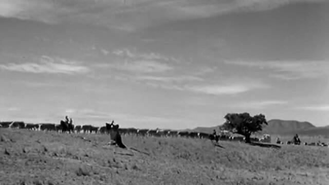 Сурова кожа (Rawhide) S01 E16