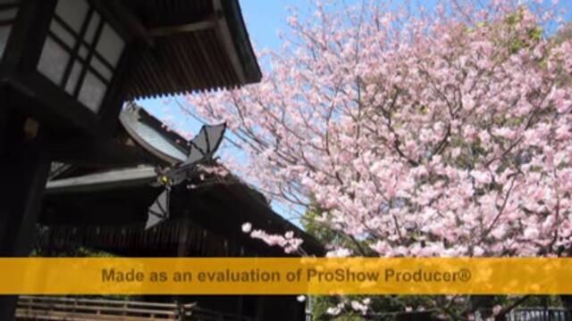 Молба към слънцето