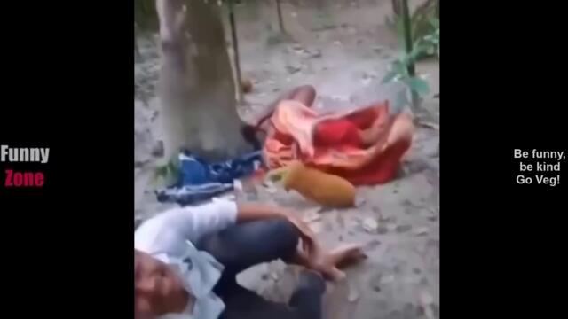 TRY NOT TO LAUGH Как да не се смееш.