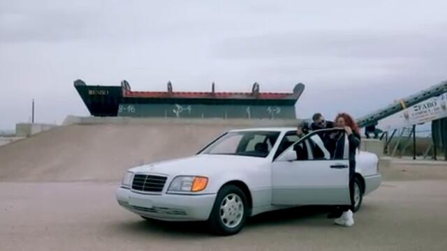 STOJA I GAZDA PAJA - ANIMAL 2025