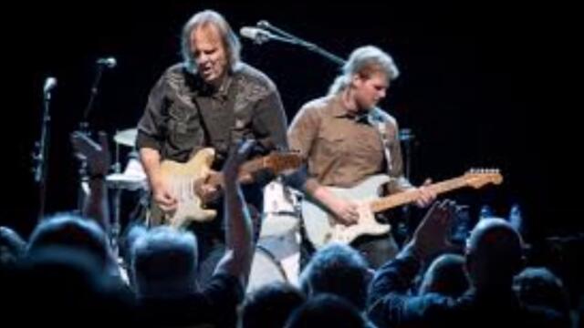 Walter Trout - Walkin in the Rain - Live audio