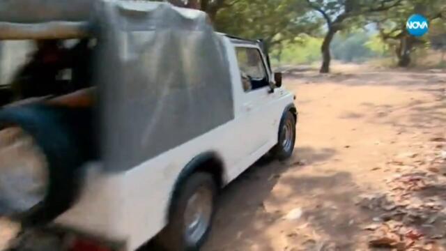 Ритъмът на мечтите - Епизод 560