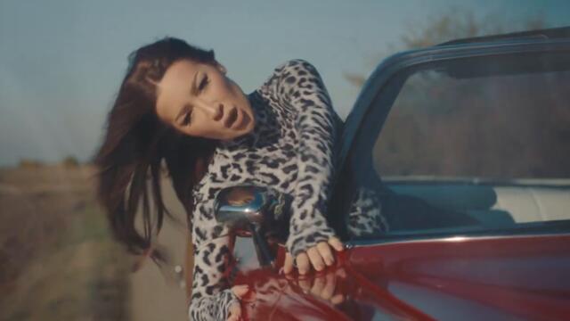 TEA BILANOVIC  - LJUBI BUDALU (OFFICIAL VIDEO)