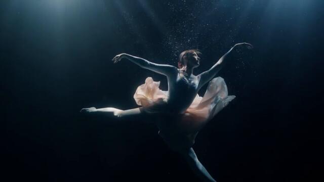 Elvir Mujanović - HILJADU RANA ( Official video 2026 )