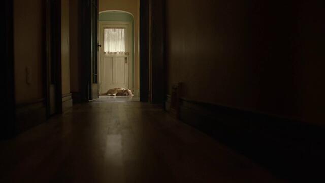 Невероятния живот на Енцо The Art of Racing in the Rain   (2019)  Бг Аудио Част 1