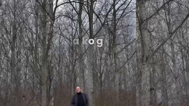 Slavisa Vujic - Kosovka Jelena (VIDEO)