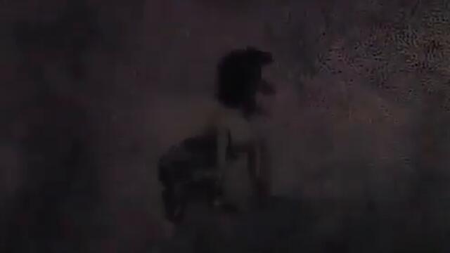 1989 год Цикл Ш Чавчавадзе