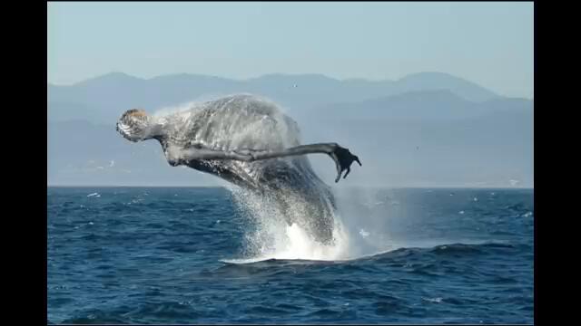 Cryptid speedpaints #4 (Found footage art) (Ibis Paint)