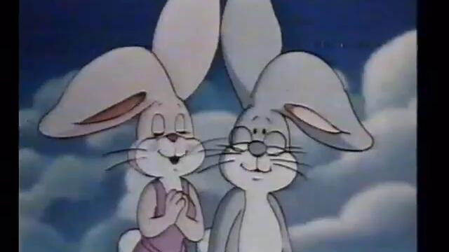 American Rabbit