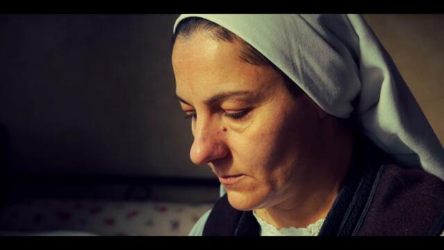 NIKOLA STOJANOVIC - SIN (OFFICIAL VIDEO)