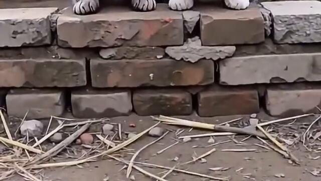 The perfect landing doesn