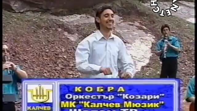 козари-кобра-by-planetcho-steptodown.com