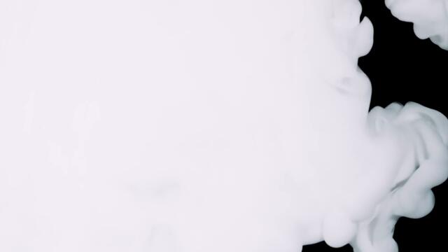 Adi Šoše & Senidah - Čista ljubav (Official video)