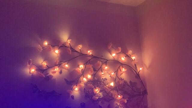 Тази красота майка ми я направи с сакура имитира в телевизора като лед лампа тв