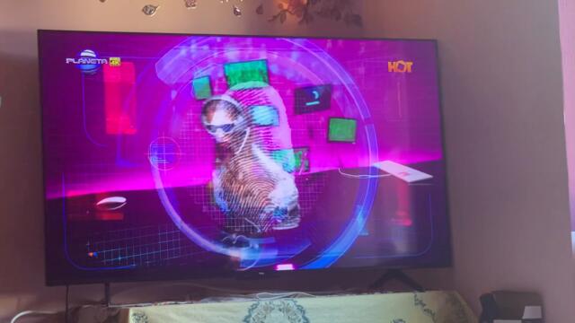 Ариа матрицата