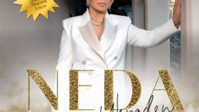 NEDA UKRADEN - Vino u venama