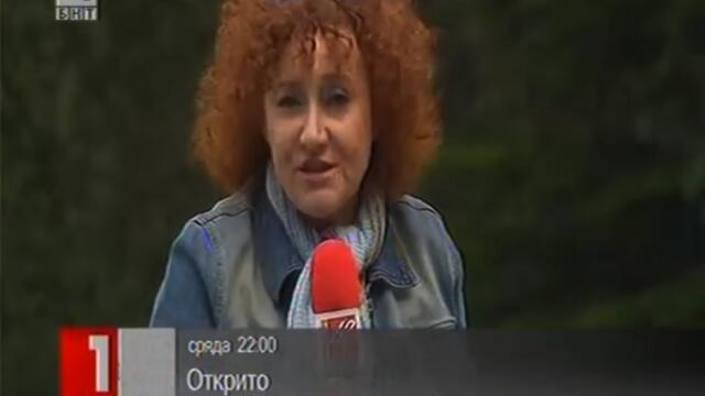 ВЪВ БНТ 1 2013