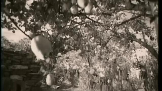 Enigma - Return to innocence